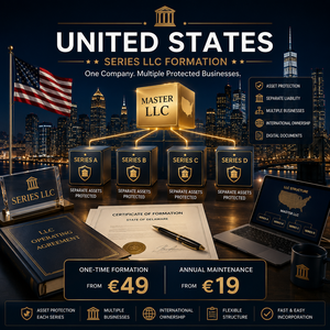 Gründung der amerikanischen Series LLC